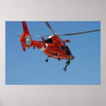 Delfín HH-65 Posters