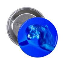Delfín Pin