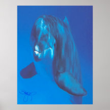 Delfín Poster
