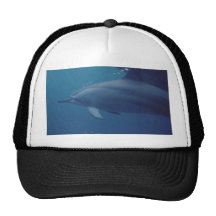 Delfínes 022 gorra