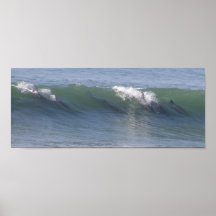 Delfínes de la persona que practica surf posters