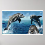 Delfínes Posters