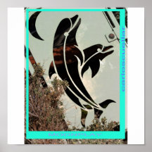delfínes posters