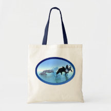 Delfínes y el bolso de la orca bolsa