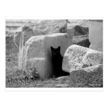 Delos, Grecia Postales