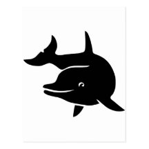 delphin delfin dolphin flipper whale postkarten