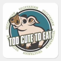 Demasiado lindo comer el cerdo calcomanías cuadradass personalizadas