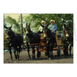 demostración del caballo de proyecto del va del cu tarjeton