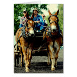 demostración del caballo de proyecto del va del cu felicitacion 