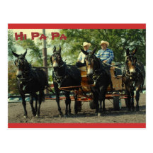 demostración del caballo de proyecto del va del cu tarjeta postal