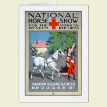 Demostración nacional del caballo (US00272) tarjetas