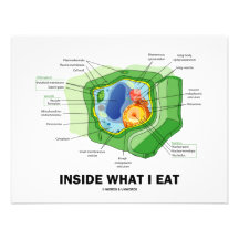 Dentro de lo que yo como (el humor vegetariano de  comunicado personalizado
