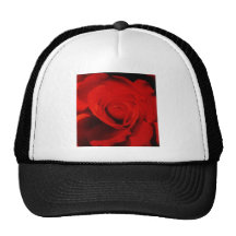 dentro de un color de rosa gorra
