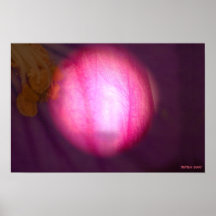 DENTRO DE UN PÉTALO 1 - SALIDA DEL SOL EN LA MADER POSTERS