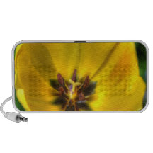 Dentro de un tulipán iPod altavoces