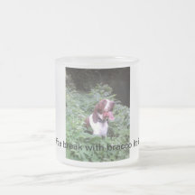 Descanso para tomar café con italiano del bracco tazas de café