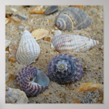 Descasca la lona poster
