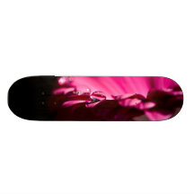 Descenso del agua en Gerbera Tabla De Skate