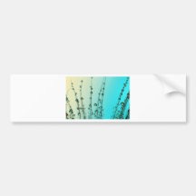 Descensos de la pluma con Blue.jpg Etiqueta De Parachoque