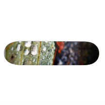 Descensos en la hoja 3 patineta personalizada