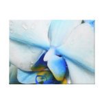 Descensos en lona envuelta de la orquídea azul lona envuelta para galerías