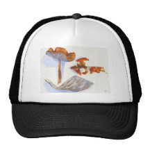 DESCORTEZAMIENTO ENCIMA DE LA SETA INCORRECTA GORROS  