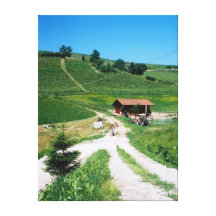 ¡Descuento! Bodega de Piemont Lona Estirada Galerias