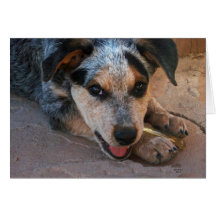 Deseándole ganado bien perrito del perro - occiden tarjetón