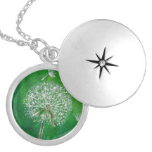 Deseo del diente de león, collar de plata del lock