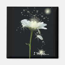 Deseo… Iman De Nevera