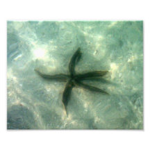 Deseo sobre una estrella de mar fotografías  