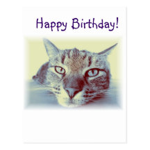 Deseos de la postal del saludo del gato de la tarj