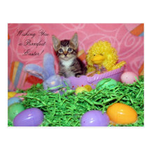 ¡Deseos de Purrfect Pascua! Tarjeta Postal