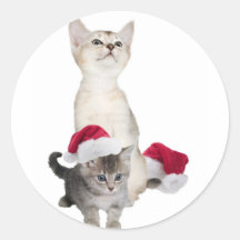 Deseos del gatito para el navidad maravilloso de u etiqueta