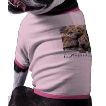 Desesperado para Botox Prenda Mascota