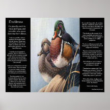 DESIDERÁTUMS dos posters del pato