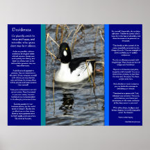 DESIDERÁTUMS que miran los posters 2 del pato