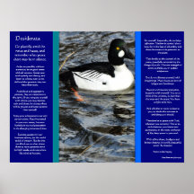 DESIDERÁTUMS que miran los posters del pato