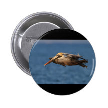 Deslizamiento del pelícano pin
