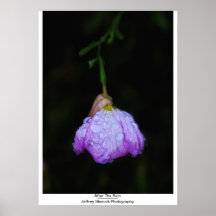 Después de la lluvia poster