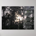 Después de la tormenta - poster #1