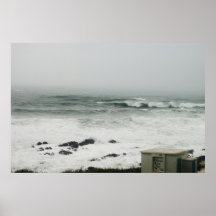Devon azotado por el viento impresiones