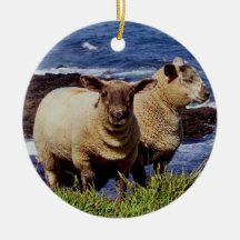 Devon del sur dos corderos en el borde del acantil ornaments para arbol de navidad