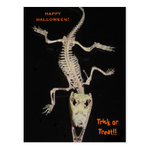 día de fiesta del croc tarjetas postales