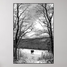 Día de invierno poster