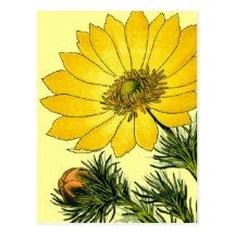 Día de madres amarillo hermoso de la flor tarjeta postal