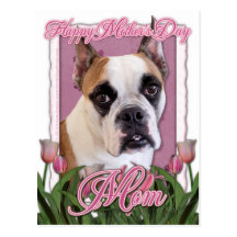 Día de madres - dogo inglés - Cambridge Tarjetas Postales