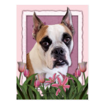 Día de madres - dogo inglés - Cambridge Tarjetas Postales