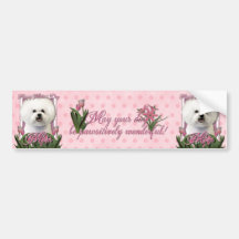 Día de madres - tulipanes rosados - Bichon Frise Pegatina De Parachoque