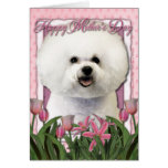 Día de madres - tulipanes rosados - Bichon Frise Tarjetón